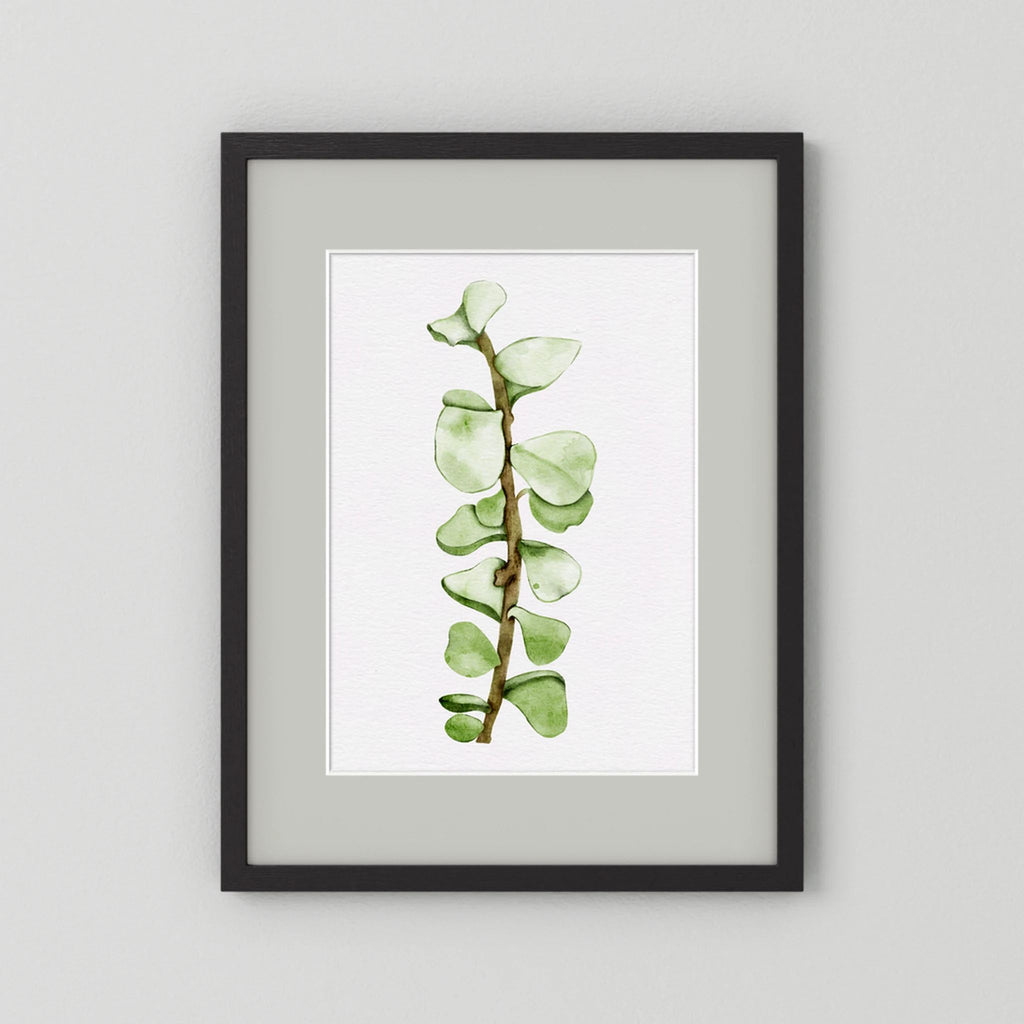 Watercolor Tall Succulent