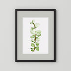 Watercolor Tall Succulent