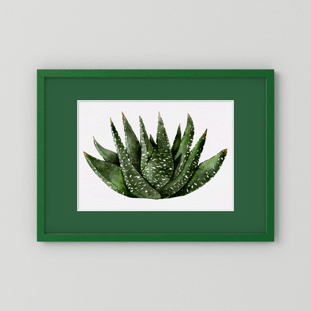 Watercolor Spiky Succulent