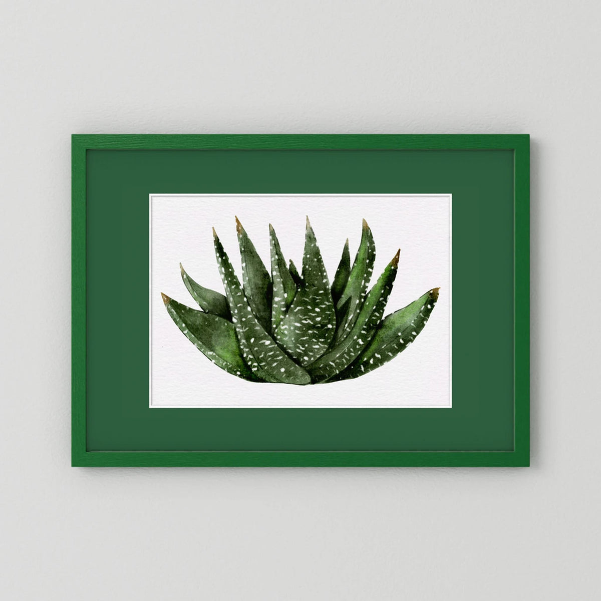 Watercolor Spiky Succulent