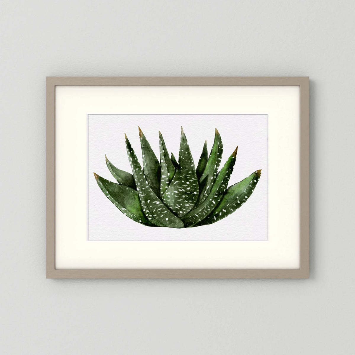 Watercolor Spiky Succulent