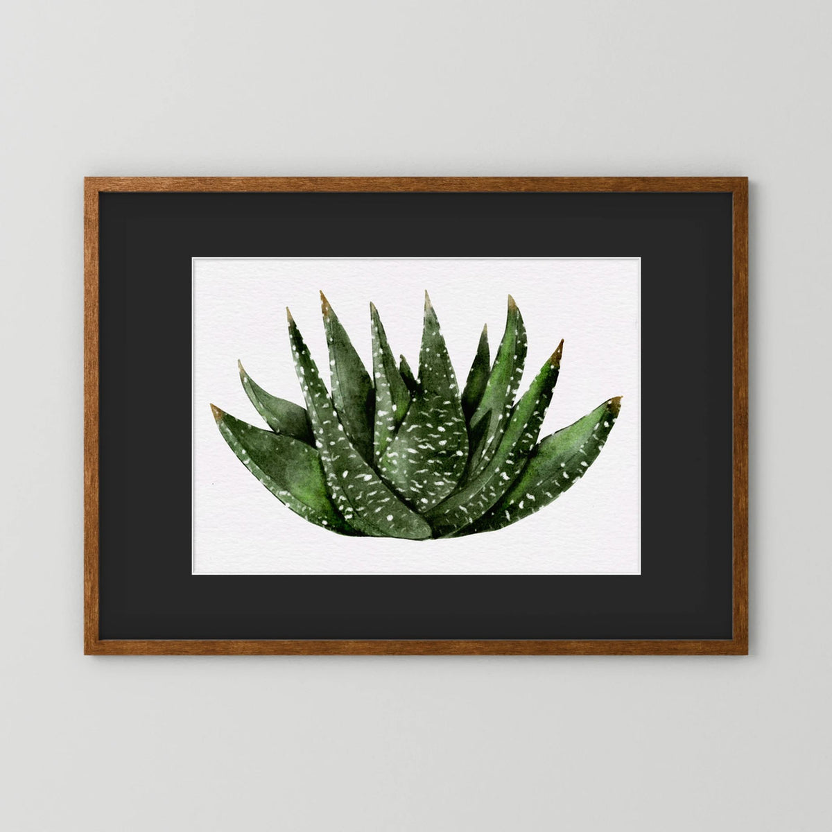 Watercolor Spiky Succulent
