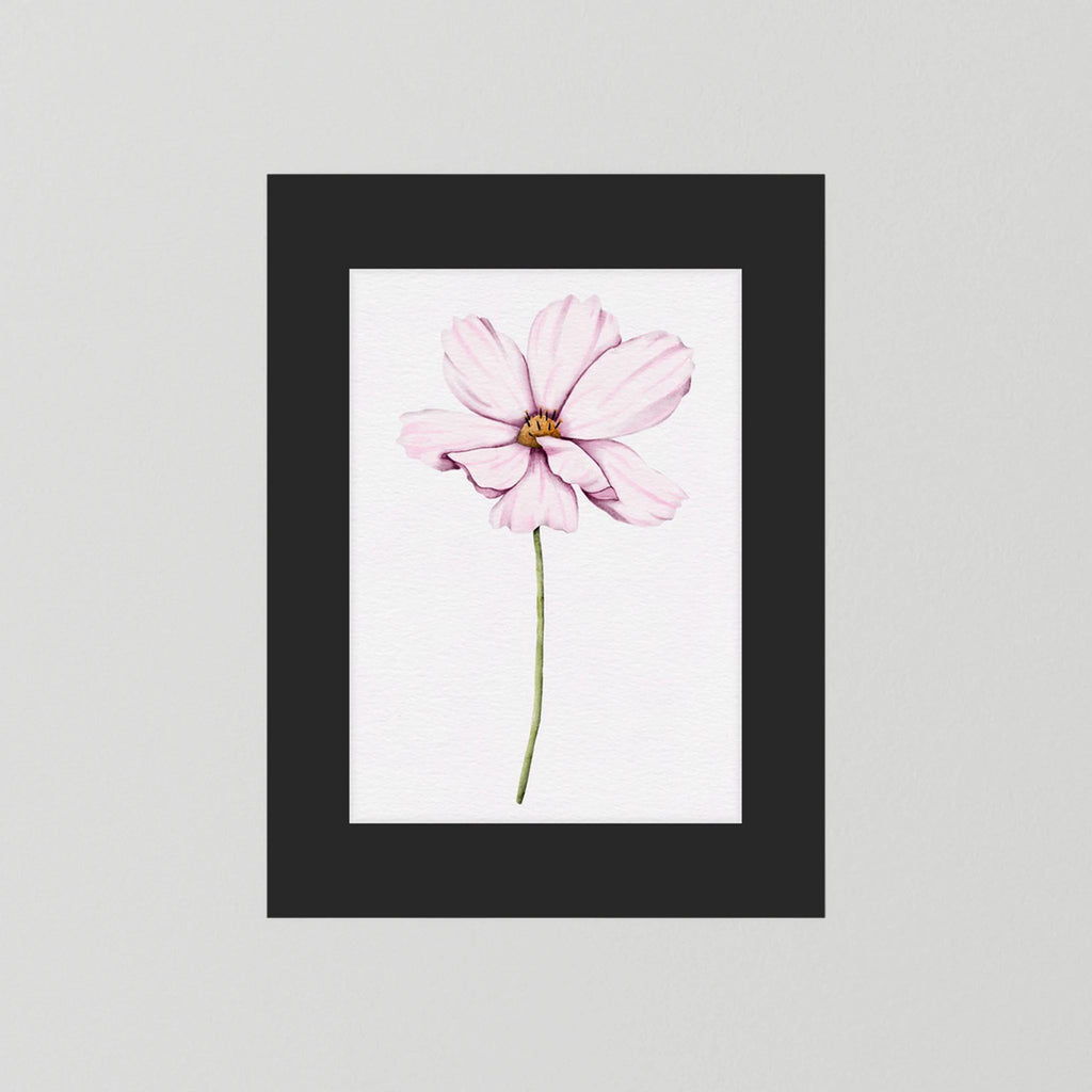 Watercolor Cosmos 