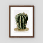 Watercolor Spiky Cactus