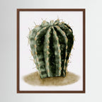 Watercolor Spiky Cactus