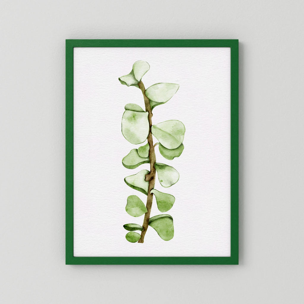 Watercolor Tall Succulent