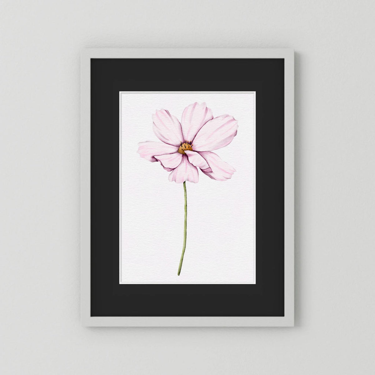 Watercolor Cosmos 