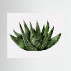 Watercolor Spiky Succulent