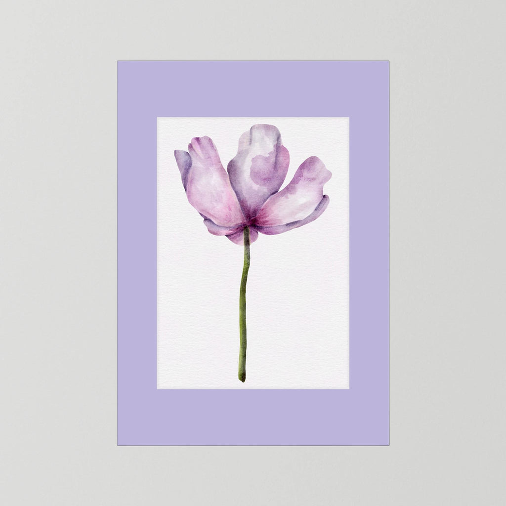 Watercolor Anemone 