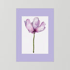 Watercolor Anemone 