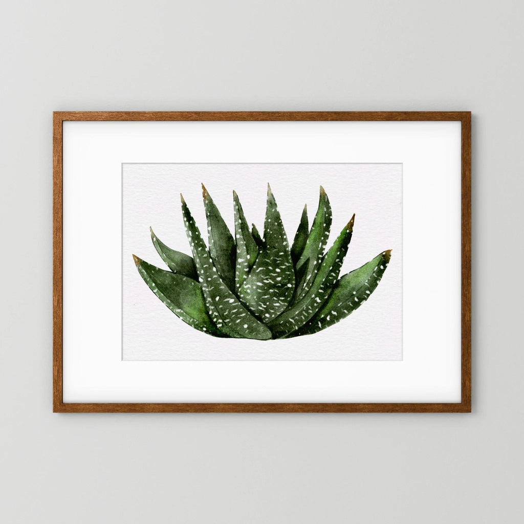Watercolor Spiky Succulent