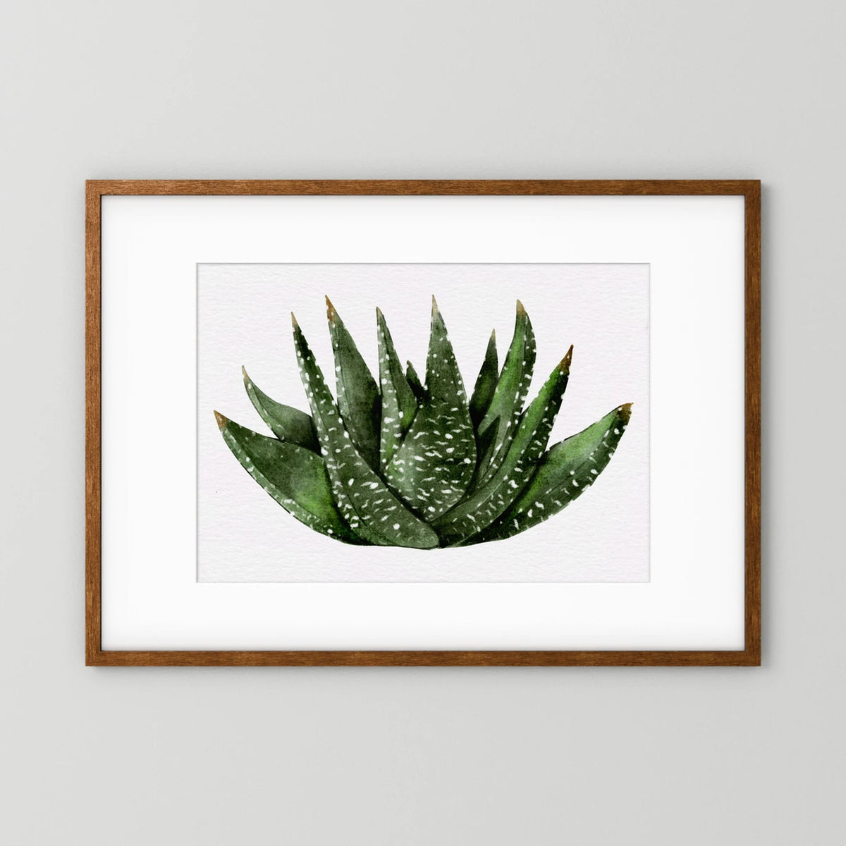 Watercolor Spiky Succulent