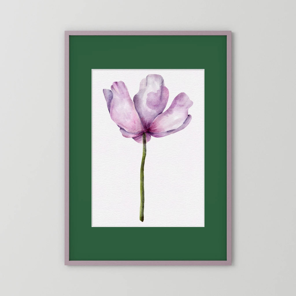 Watercolor Anemone 
