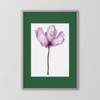 Watercolor Anemone 