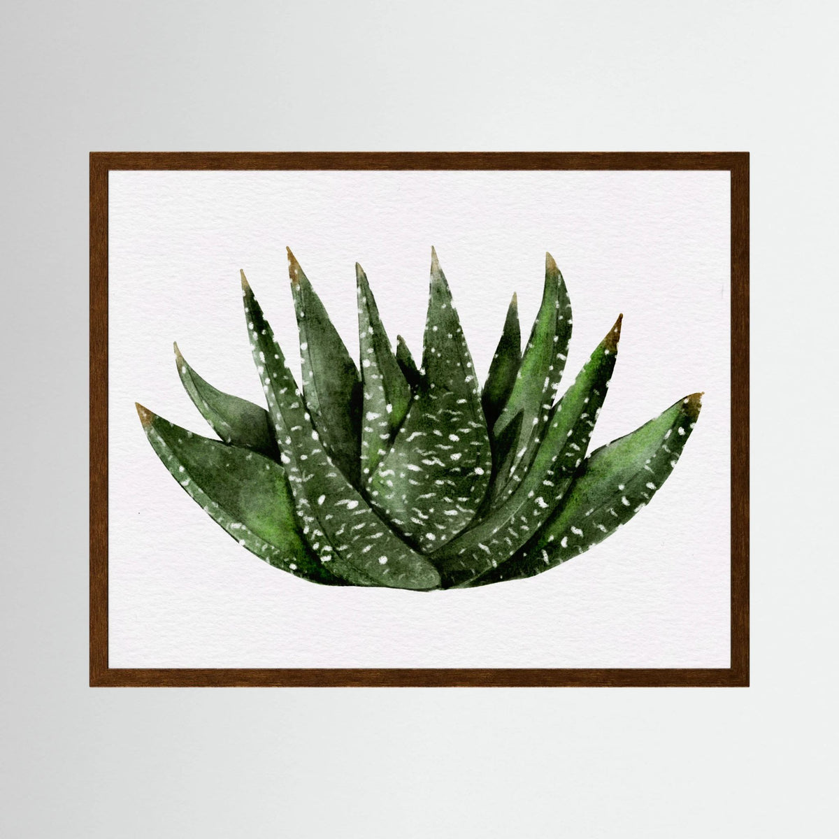 Watercolor Spiky Succulent