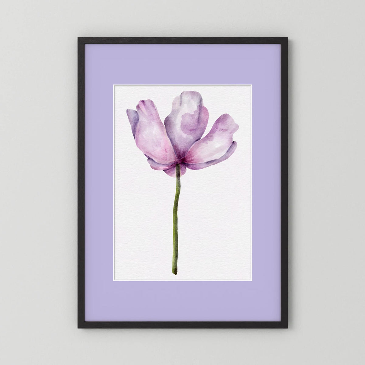 Watercolor Anemone 