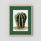 Watercolor Spiky Cactus