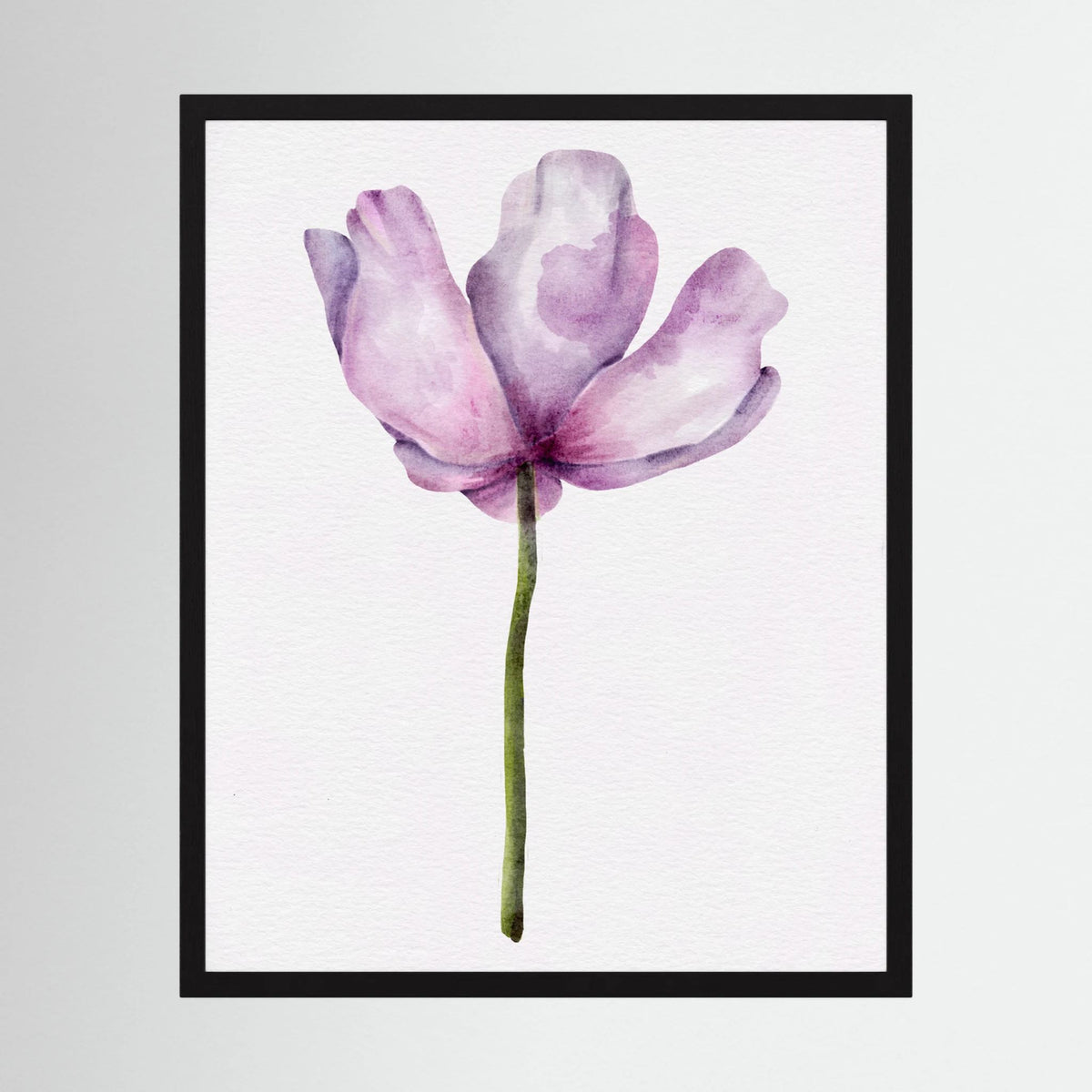 Watercolor Anemone 