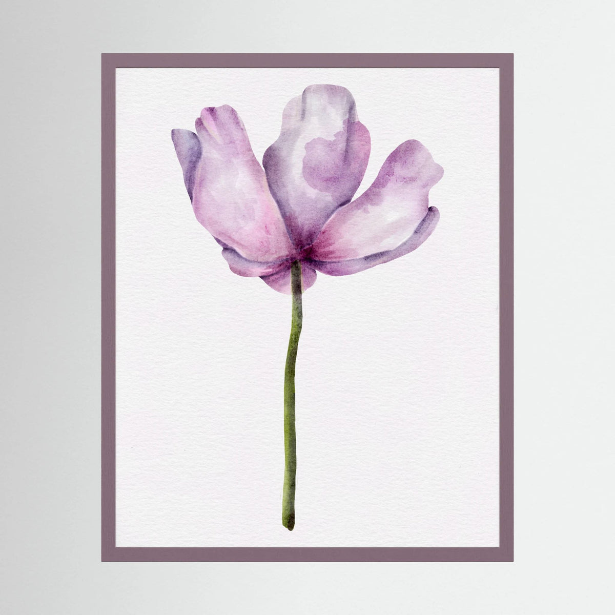 Watercolor Anemone 