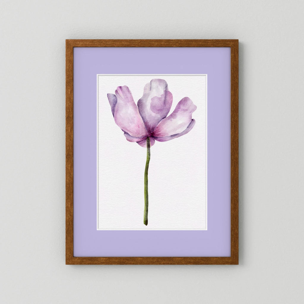 Watercolor Anemone 
