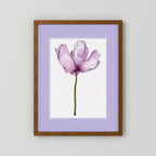 Watercolor Anemone 