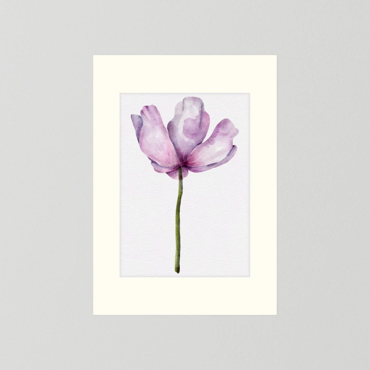 Watercolor Anemone 