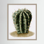 Watercolor Spiky Cactus