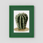 Watercolor Spiky Cactus