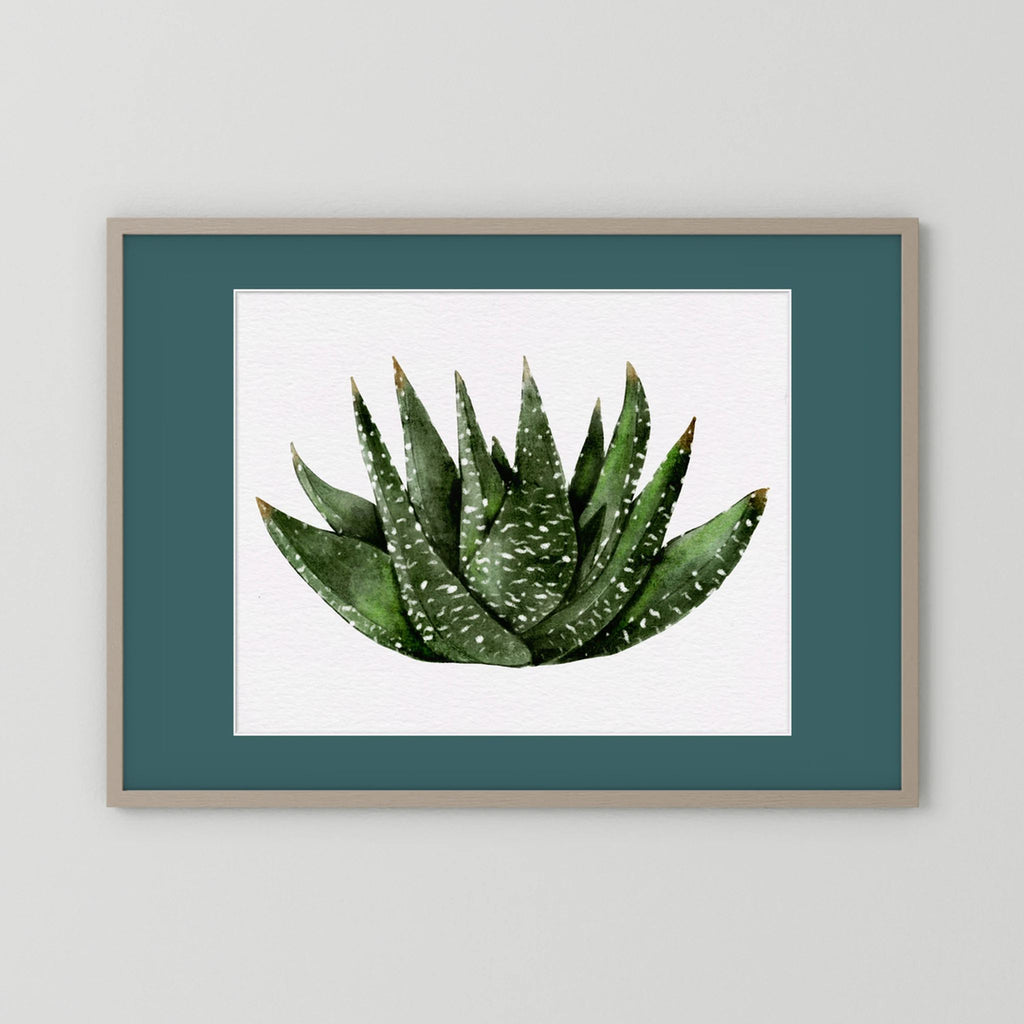 Watercolor Spiky Succulent