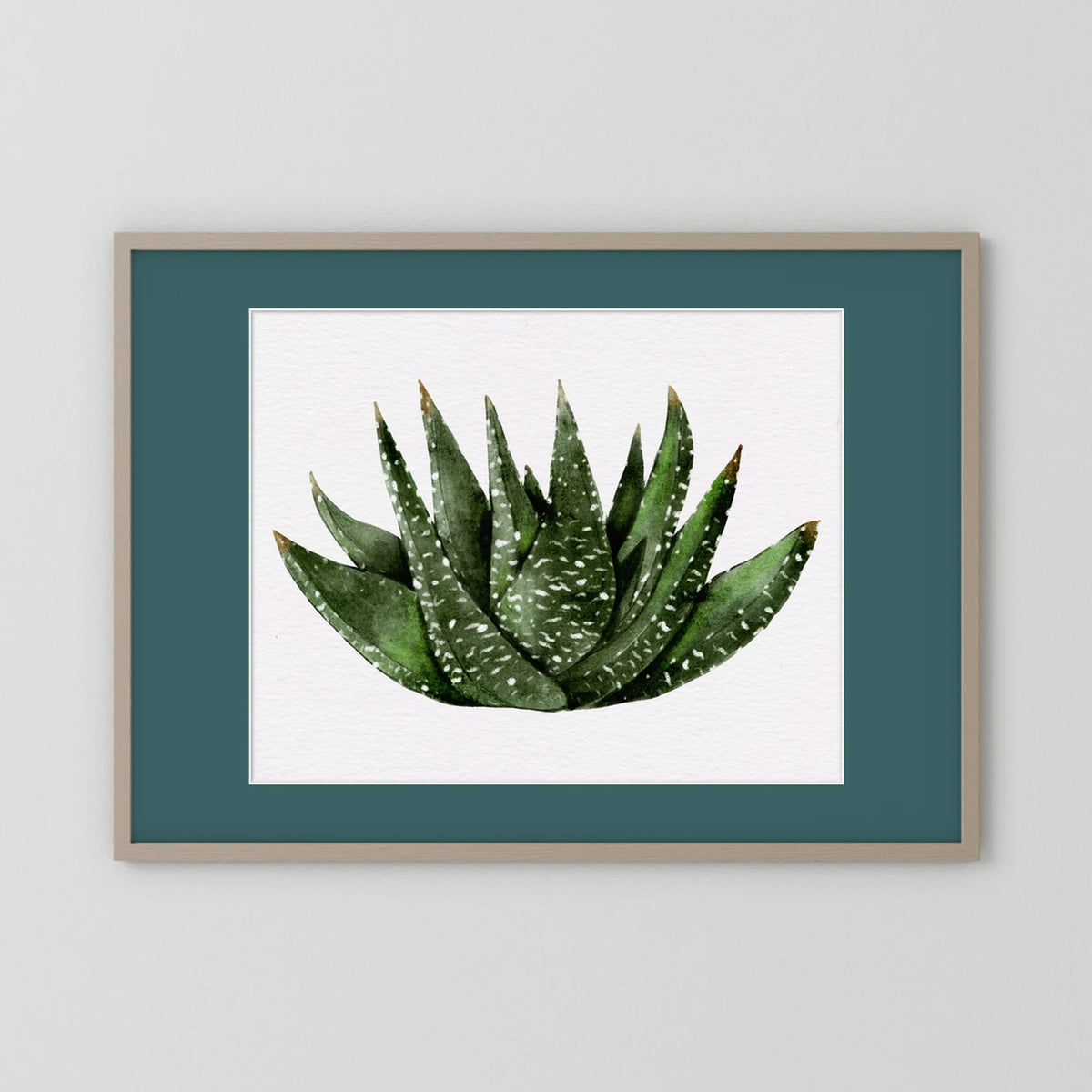 Watercolor Spiky Succulent
