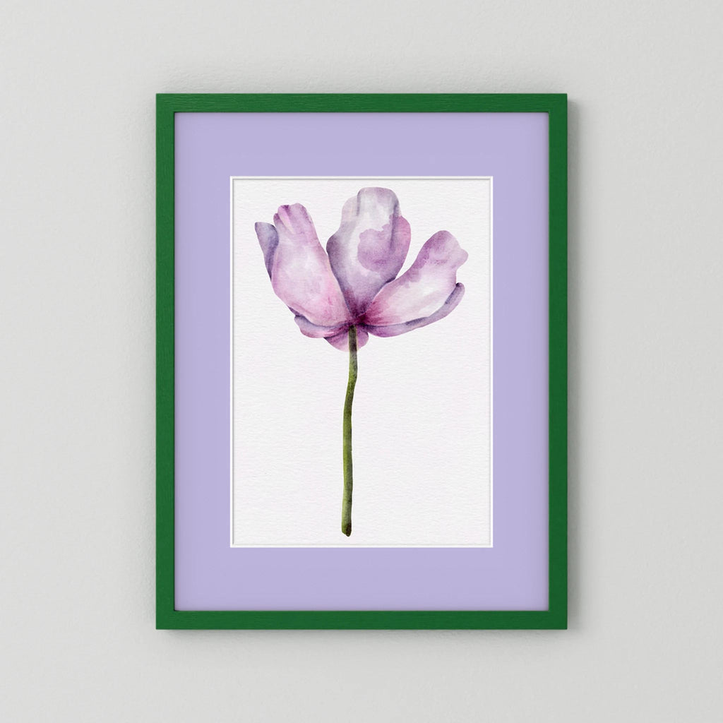 Watercolor Anemone 