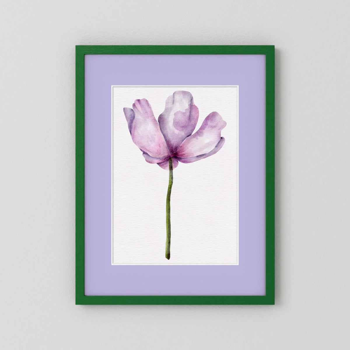 Watercolor Anemone 