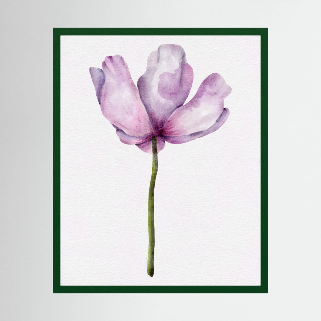 Watercolor Anemone 