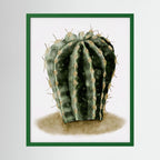Watercolor Spiky Cactus