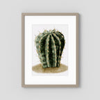 Watercolor Spiky Cactus