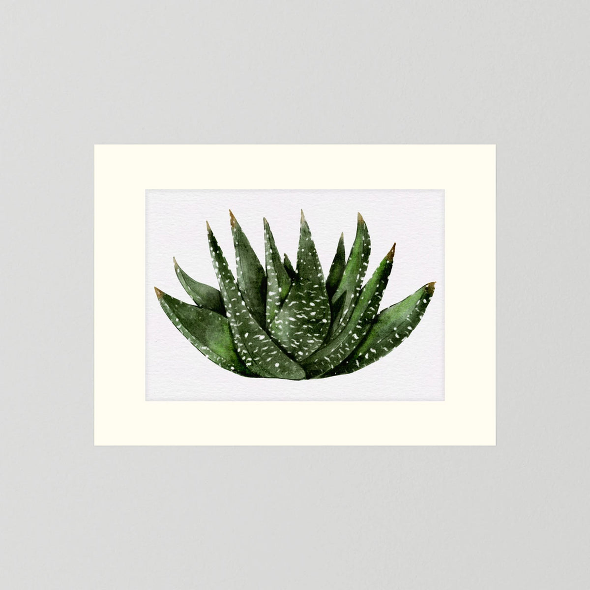 Watercolor Spiky Succulent