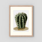 Watercolor Spiky Cactus