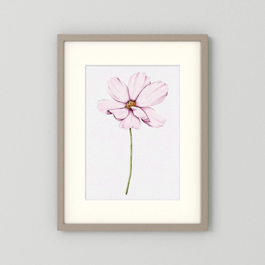 Watercolor Cosmos 