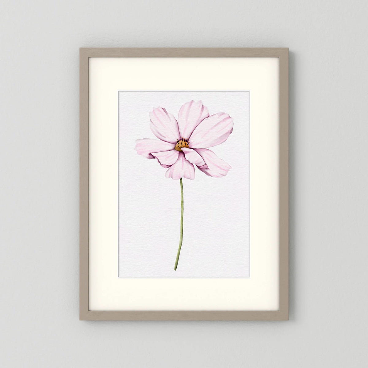 Watercolor Cosmos 