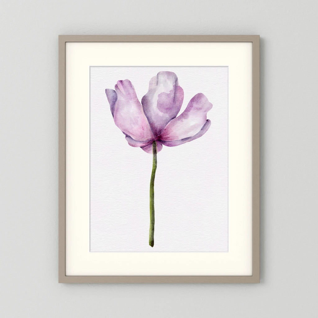Watercolor Anemone 
