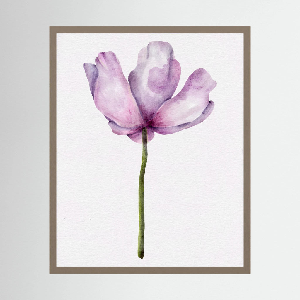 Watercolor Anemone 