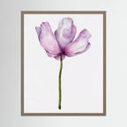 Watercolor Anemone 
