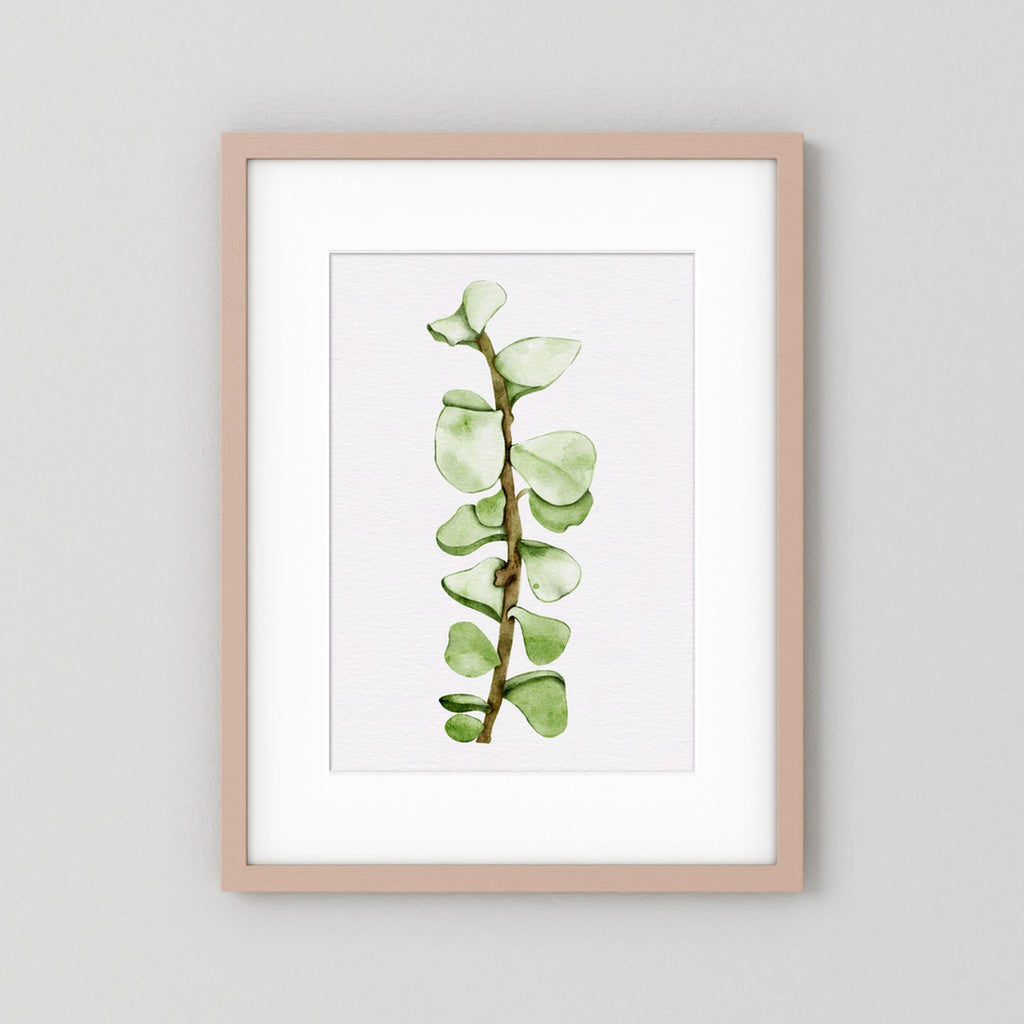 Watercolor Tall Succulent