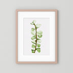 Watercolor Tall Succulent