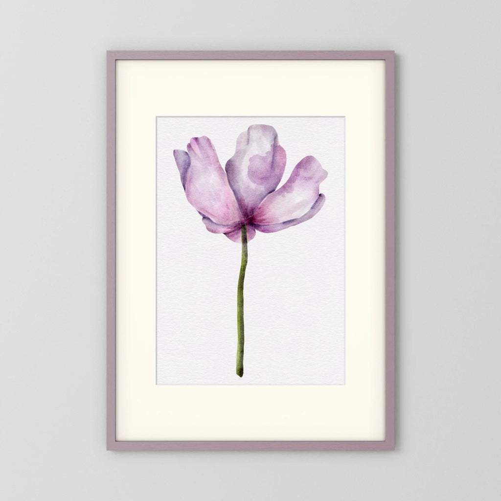 Watercolor Anemone 
