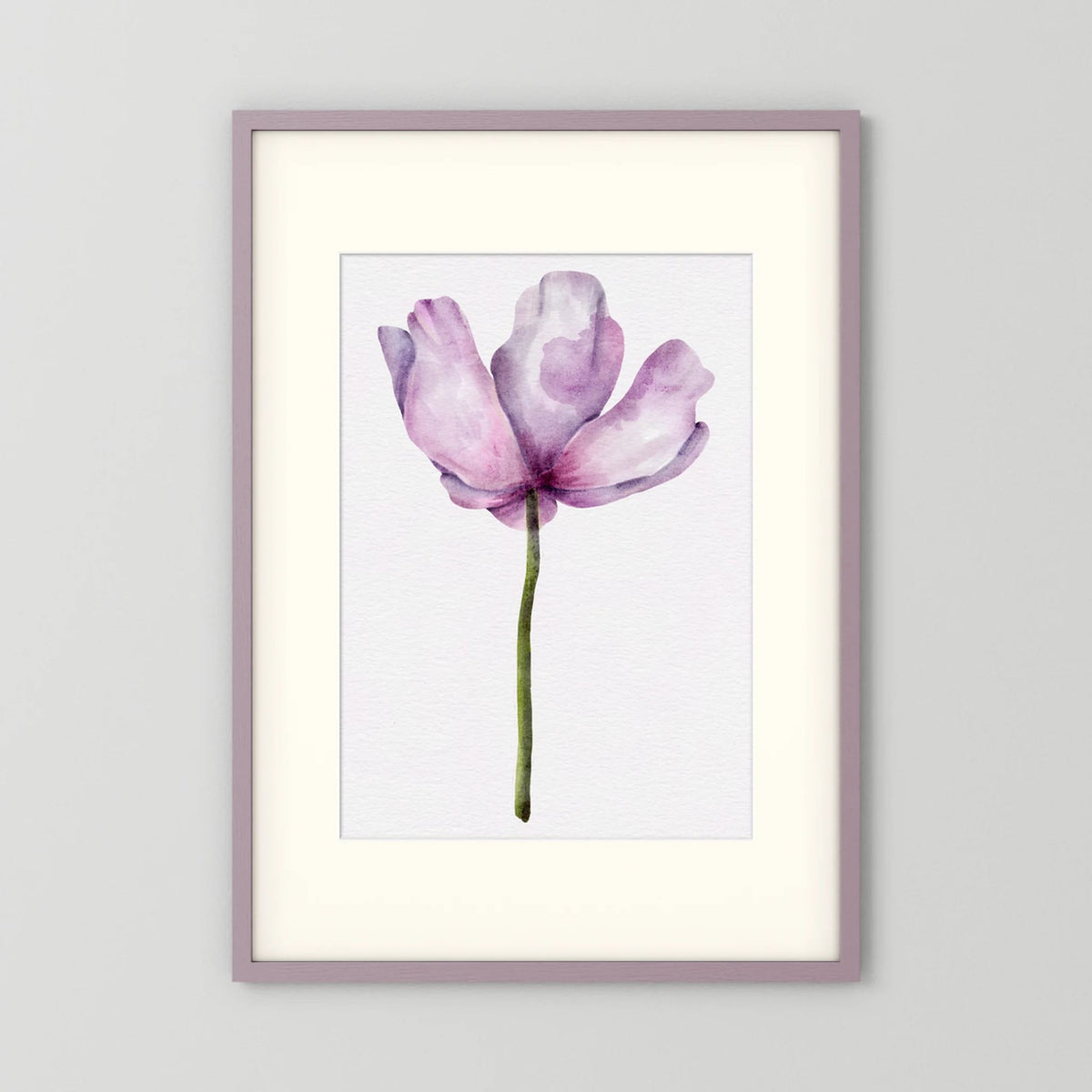 Watercolor Anemone 
