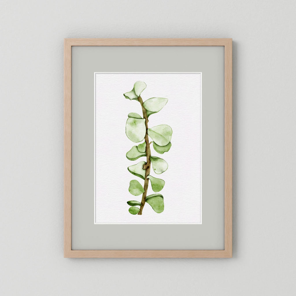 Watercolor Tall Succulent