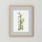 Watercolor Tall Succulent