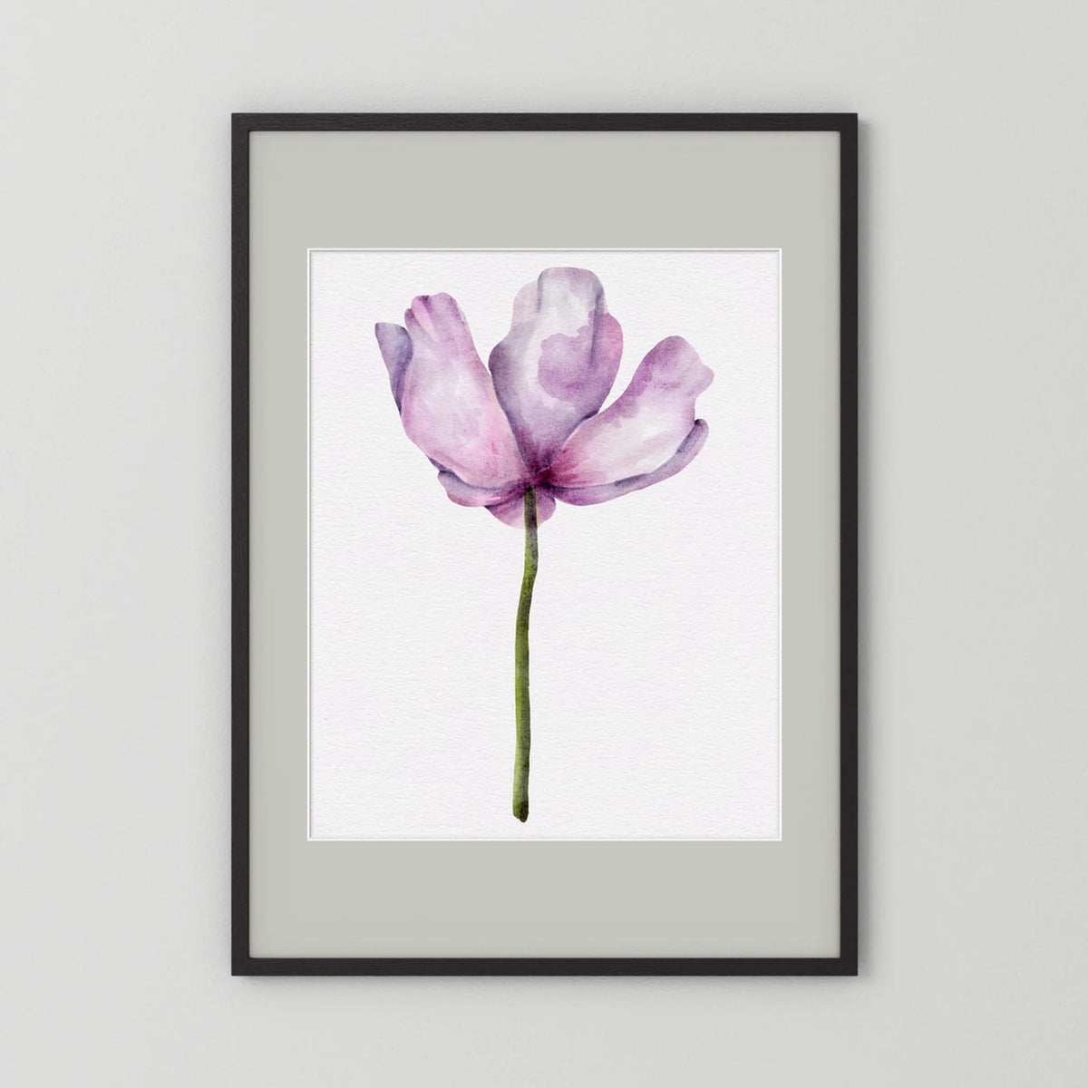 Watercolor Anemone 