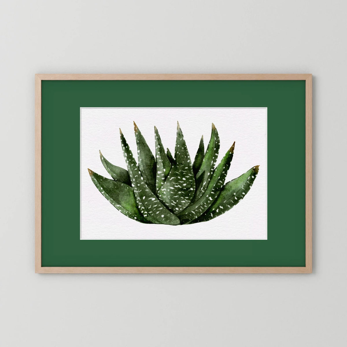 Watercolor Spiky Succulent